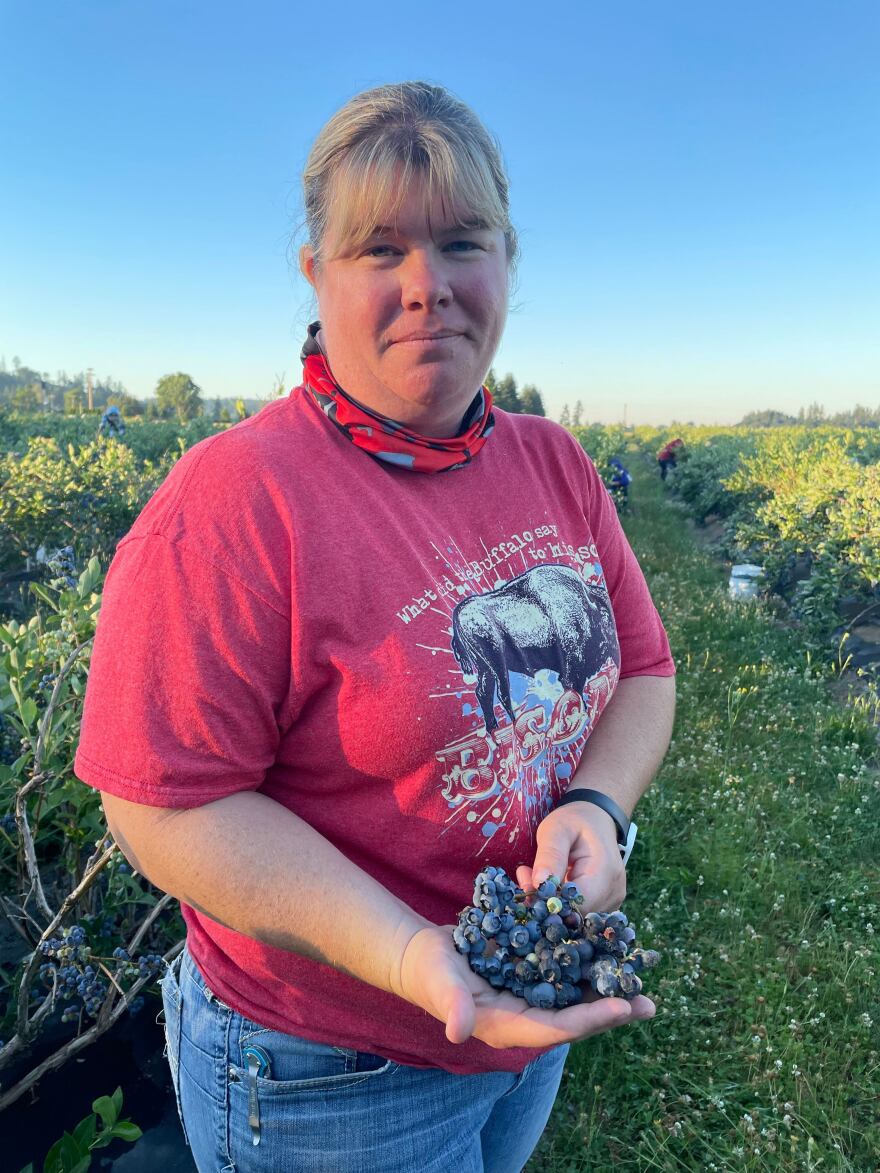 Berries Northwest's Anne Krahmer-Steinkamp finds damaged blueberries in her farm in Albany that have been scorched by the heat wave on June 28, 2021.